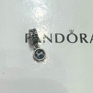 Pandora Charm
